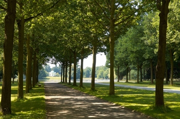 dOCUMENTA 13